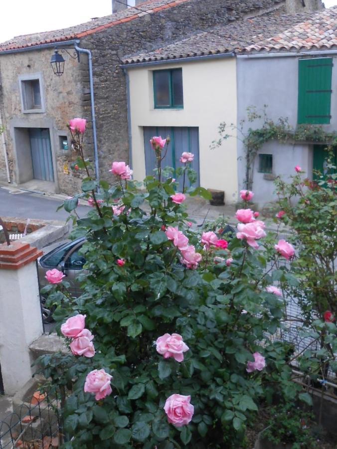 Maison Palmeral Coustaussa Dış mekan fotoğraf