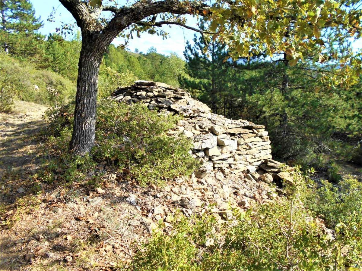 Maison Palmeral Coustaussa Dış mekan fotoğraf