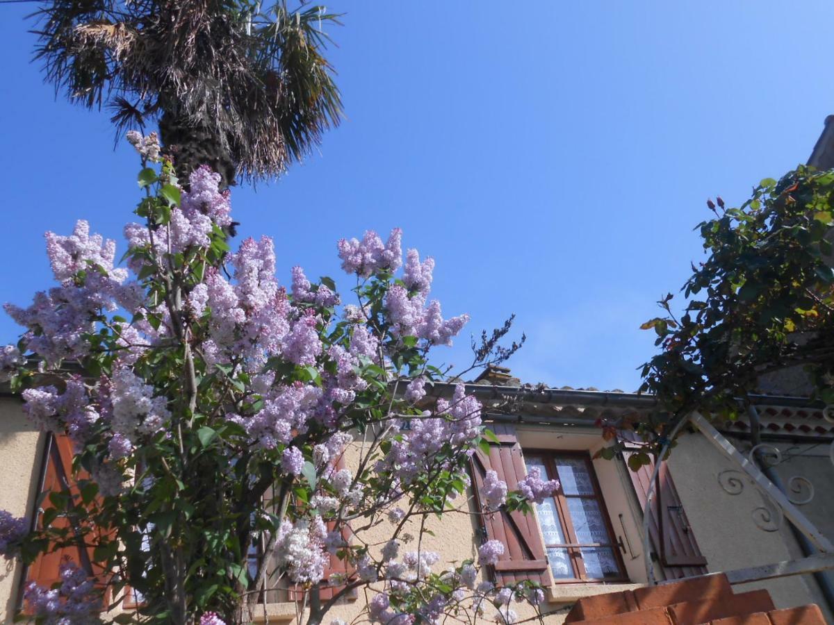 Maison Palmeral Coustaussa Dış mekan fotoğraf